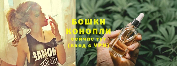 прущие грибы Бежецк