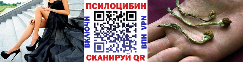 Галлюциногенные грибы ЛСД  даркнет сайт  Долгопрудный 