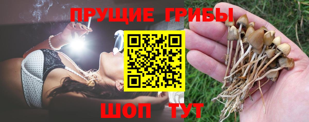 Галлюциногенные грибы MAGIC MUSHROOMS  Галлюциногенные грибы GOLDEN TEACHER  Вход с VPN  Долгопрудный 